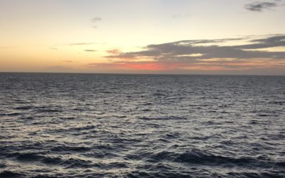 The Great Unknown